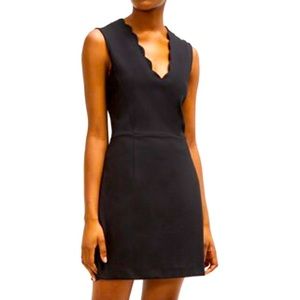 French Connection LULA STRETCH V NECK DRESS 8